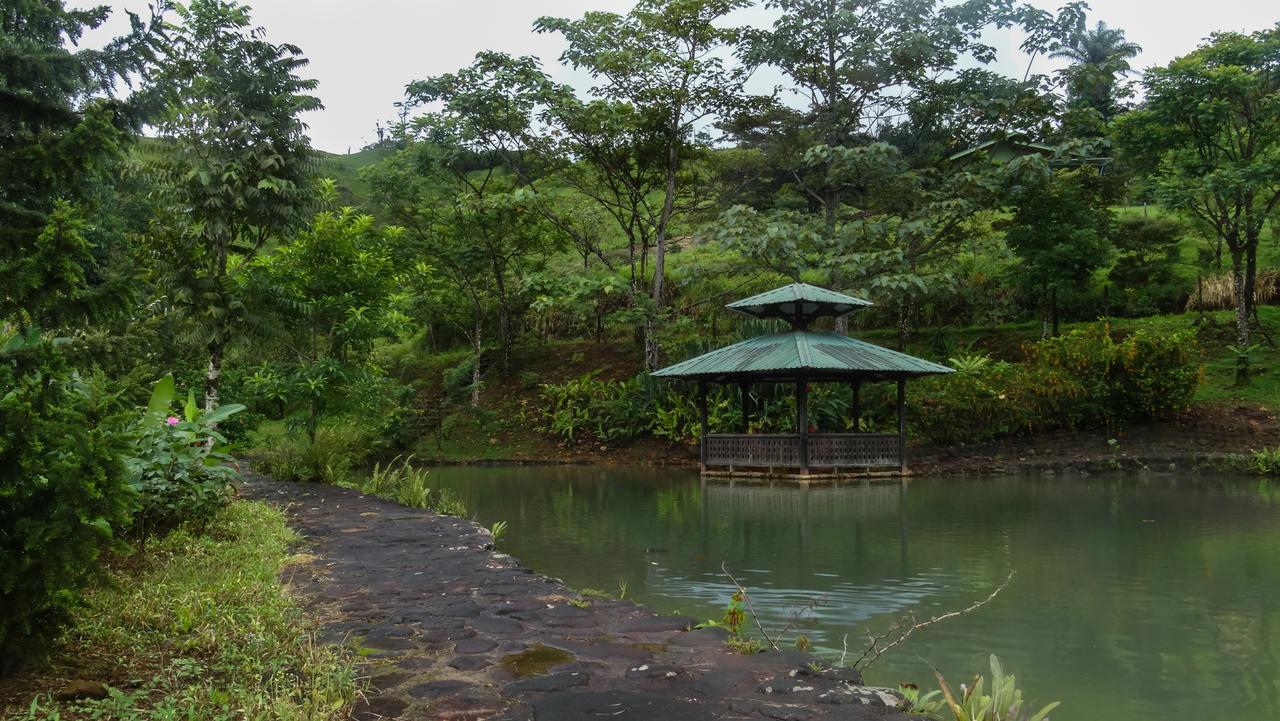 Malekus Mountain Lodge Aguas Claras  Buitenkant foto
