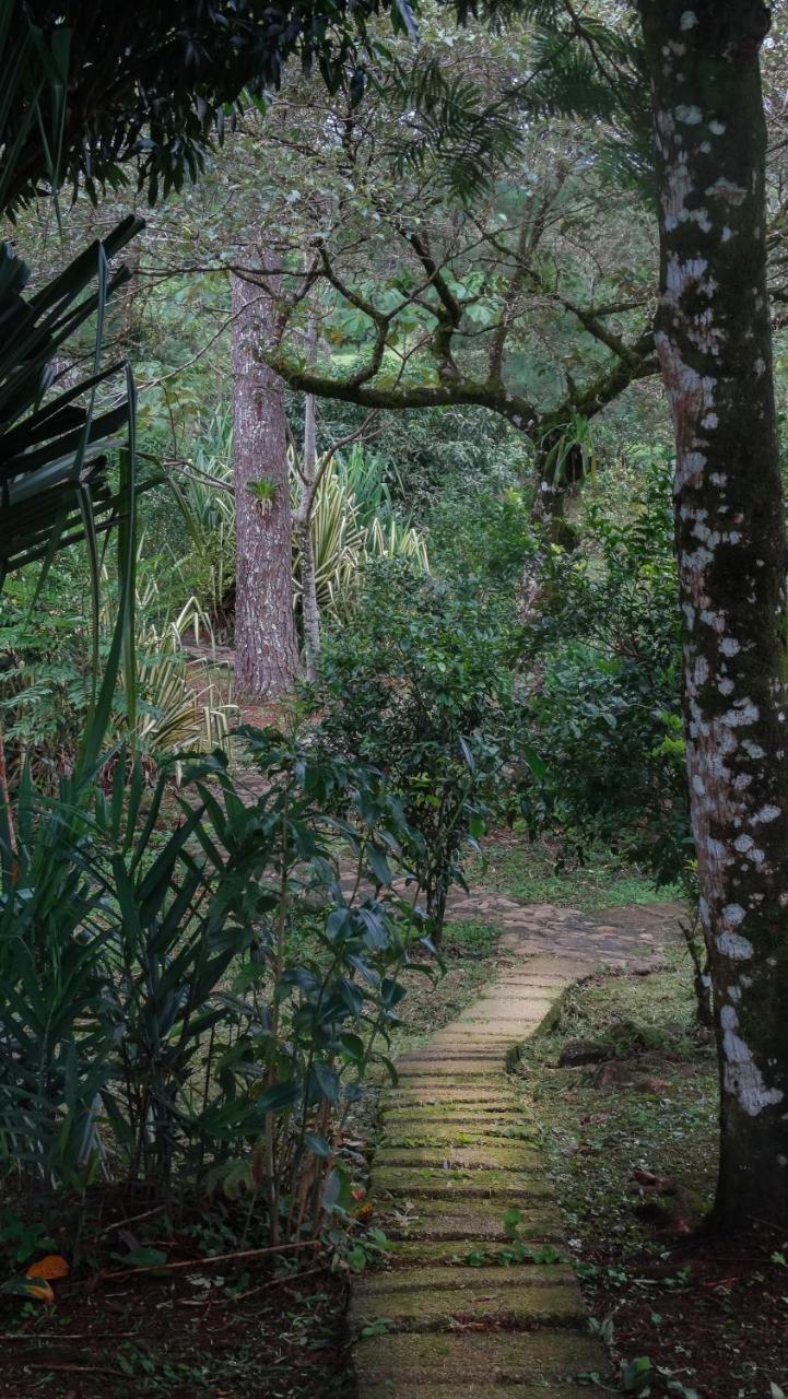 Malekus Mountain Lodge Aguas Claras  Buitenkant foto